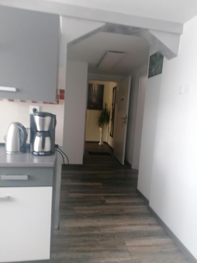 Ferienwohnung Andreea Saarlouis Exterior foto